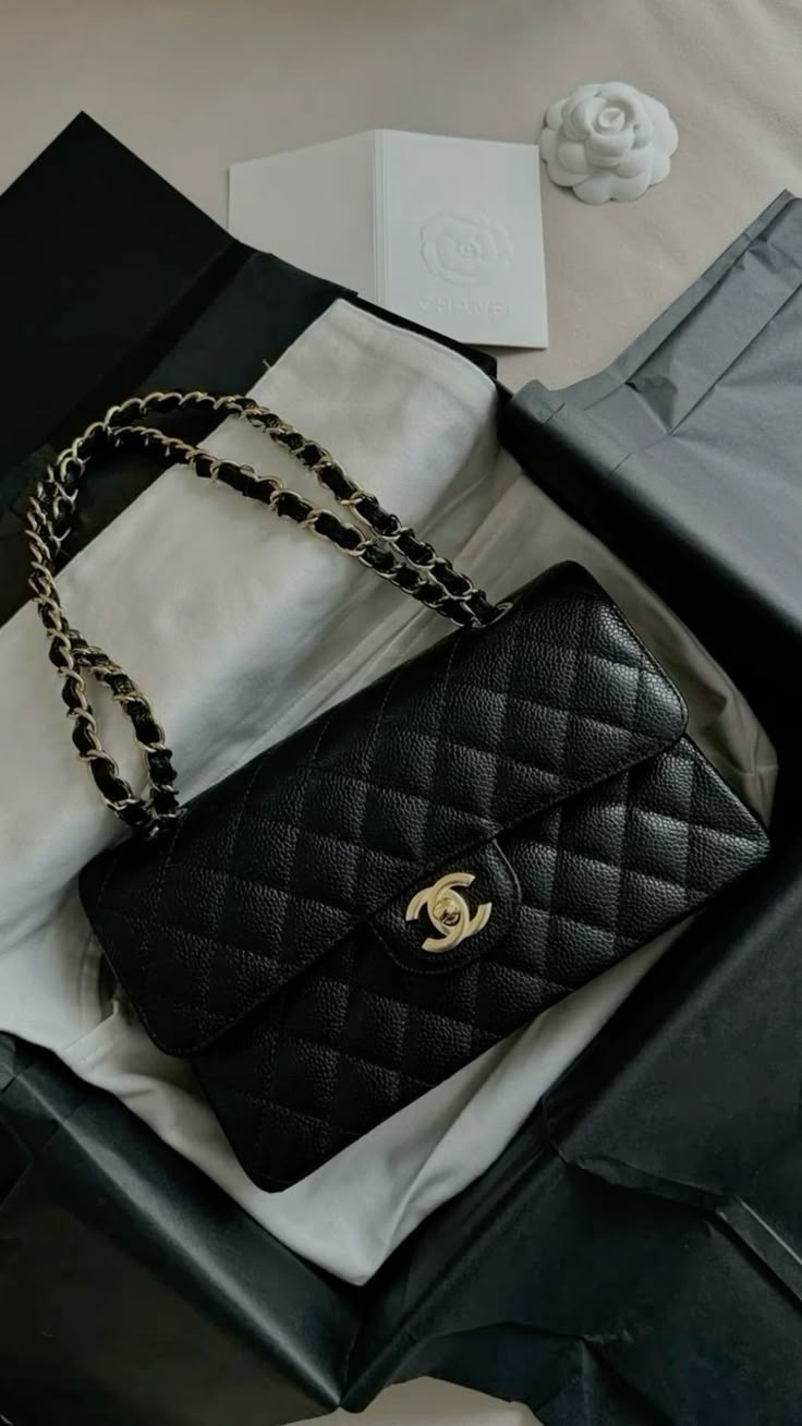 Belle Timeless Edition